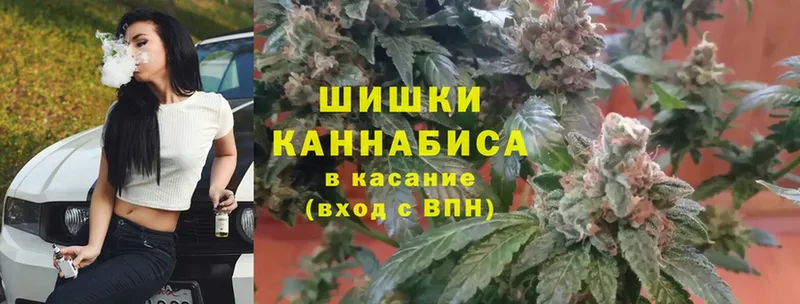 OMG маркетплейс  сколько стоит  Жердевка  Каннабис планчик 